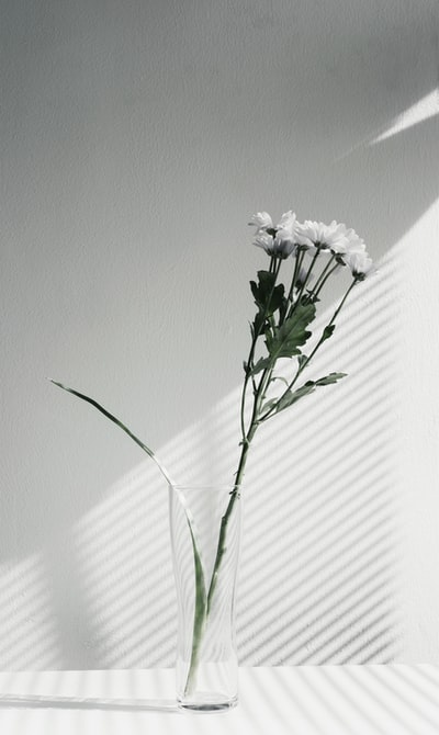 白色花瓣花饰